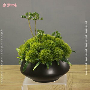 300~OFFN[| tFCNt[ zep ؕ e[uZ^[ OWA[ t[fR[V A^b`H e[uΉ AW\ ؕ e[uZ^[ X