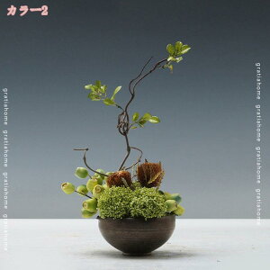 1000~OFFN[| t[AWg tFCNO[ t _ ؕ tFCNRP Adl lHϗtA TCY ~j~ VbvfBXvC EBhEfR[V