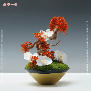 1000~OFFN[| t[AWg tFCNO[ t _ ؕ tFCNRP Adl lHϗtA TCY ~j~ VbvfBXvC EBhEfR[V