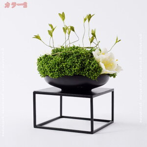 1000~OFFN[| t[AWg tFCNt[   ԓ Vv V lH~ tFCNO[ ۋʕ ԃAWg CeA 㑕 /rO