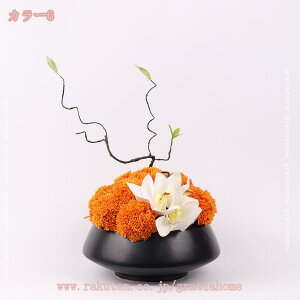 300~OFFN[|  tFCNt[  t[AWg lHϗtA {  ϑސF ό tFCNO[ Iȑ ۋʕ A Iȑ t