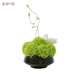 300~OFFN[| tFCNt[ V tFCN~ lHϗtA ۋʕ t[AWg e[u CeA ze X q  rO  fBXvC lH~