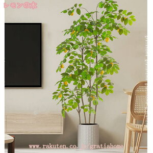 300~OFFN[| tFCNO[ CeAO[ c[ lH ϗtA tFCN  ₷ sv Q쏜sv  ƒ ItBX  rO xbh