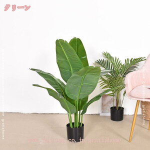 777~OFFN[|  CeA ^   lH ϗtA tFCNO[ 蕨  fBXvC X ItBX ZW fnEX JX J ړ] j Mtg v[