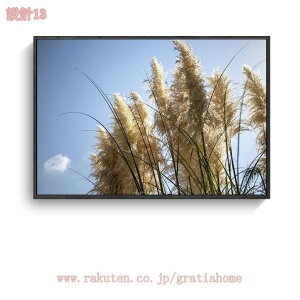 300~OFFN[| A[gpl  k |X^[ _A[g Vv G CeA A A[g|X^[ ǉ tȒP t[t Ǌ| Q  L rO gC