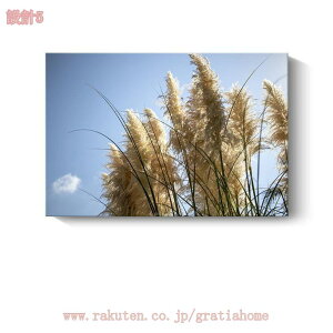 300~OFFN[| A[gpl  k |X^[ _A[g Vv G CeA A A[g|X^[ ǉ tȒP t[t Ǌ| Q  L rO gC