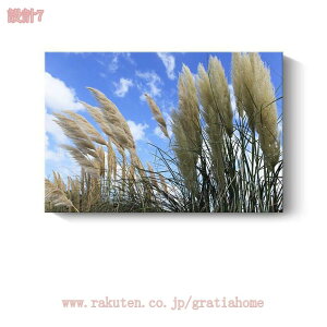 300~OFFN[| A[gpl  k |X^[ _A[g Vv G CeA A A[g|X^[ ǉ tȒP t[t Ǌ| Q  L rO gC