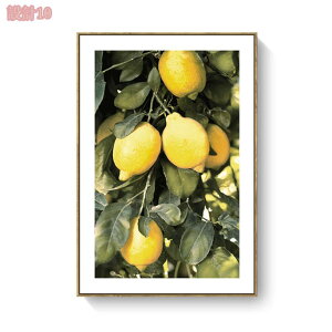 777~OFFN[| A[gpl A _ G |X^[ t[t Ǌ| A[gt[ A[g{[h G  k CeA  \t@̔wi Vv 킢 