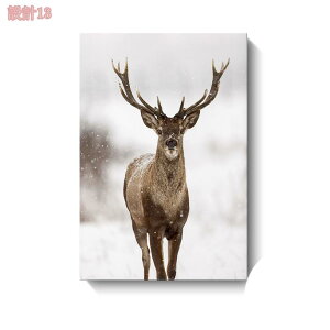 500~OFFN[| A[gpl  k _ ` A[g|X^[ t[t A[gt[ _A[g Ǌ| CeA  G C \t@̔wi 킢 rO 