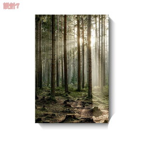 500~OFFN[| A[gpl  k _ ` A[g|X^[ t[t A[gt[ _A[g Ǌ| CeA  G C \t@̔wi 킢 rO 