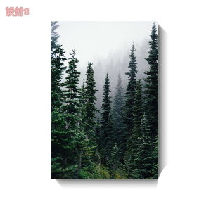 500~OFFN[| A[gpl  k _ ` A[g|X^[ t[t A[gt[ _A[g Ǌ| CeA  G C \t@̔wi 킢 rO 