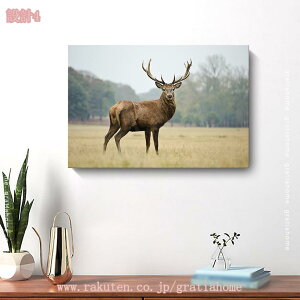 500~OFFN[| k |X^[  A[g{[h A[gpl  R  _ A[gt[ CeAG EH[fR[V Ǌ| \t@̔wiG  G 