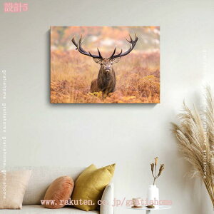 北欧 ポスター 動物 アートボード アートパネル 鹿 自然 おしゃれ モダン アートフレーム インテリア雑貨 ウォールデコレーション 壁掛け ソファの背景絵画 玄関 飾り絵 部屋飾り プレゼン