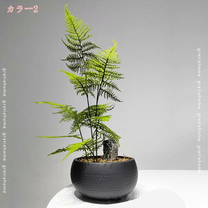 1000~OFFN[| tFCNO[   lH| lHϗtA t[AWg { CeA e[up~j~ H|iu R[q[e[ufR[V