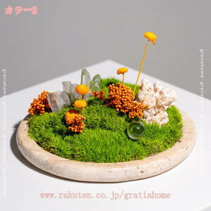 1000~OFFN[| tFCNO[  ̂ю lHϗtA t[AWg { [ԕ  rO \t@TCh R[i[؂₩ ւiɉo