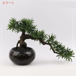 2000~OFFN[|  t[AWg  ̂ю lHϗtA ͂Ȃ CeA 뉀  ItBX  Q rO Cɖ RȎdオ GgX  