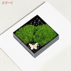 500~OFFN[| lH a_ tFCNX ̂юѕ CeA AeB[N F򂹖h~ ]|h~  q r[ p V tFCNt[ ze rO 