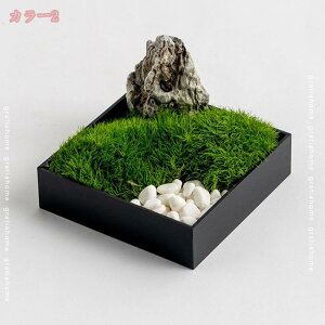 lH a_ tFCNX ̂юѕ CeA AeB[N F򂹖h~ ]|h~  q r[ p V tFCNt[ ze rO  lHϗtA