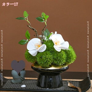 1000~OFFN[|  t[AWg   CeAO[ ItBX rO zj p[eB[ ͂Ȃ  ϑސF ό t tFCNt[ 