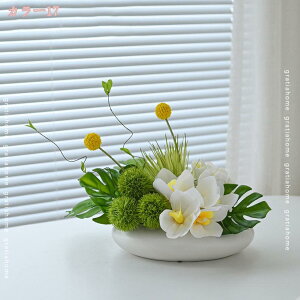 1000~OFFN[|  tFCNt[ ̂ю  t[AWg u ÓTI rO CeA Rɋ߂ fBXvC Vzj JXj t VNt