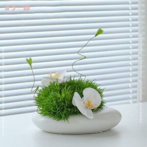 1000~OFFN[|  tFCNt[ ̂ю  t[AWg u ÓTI rO CeA Rɋ߂ fBXvC Vzj JXj t VNt