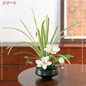  t[AWg   CeAO[ ItBX rO zj p[eB[ ͂Ȃ  ϑސF ό t tFCNt[ ̂ю lHϗt