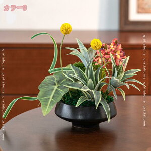 777~OFFN[|  t[AWg   CeAO[ ItBX rO zj p[eB[ ͂Ȃ  ϑސF ό t tFCNt[ 