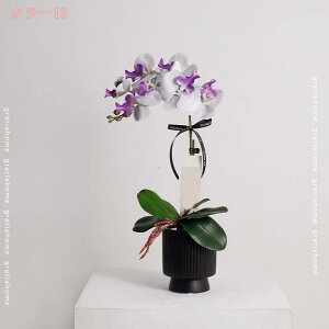 1000~OFFN[| lHϗtA   t[AWg ɗDԍ   zer[ JE^[ ke[u fBXvC  sv CeA