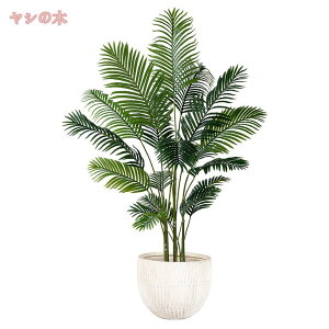 777~OFFN[| tFCNO[  A CeAO[  lHϗtA lH t A[gO[ ^ 傫 傫  rO ItBX Vzj zj