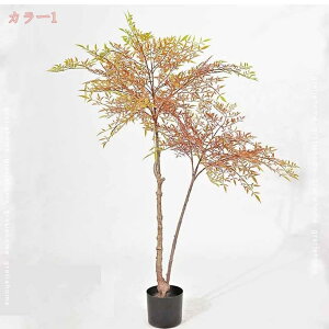 1000~OFFN[| lHϗtA ie ϗtA  傫 tFCNO[ lHA tFCN A[gO[  O[  bNX lH ͂Ȃ sv ȒP  