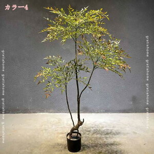 1000~OFFN[| lHϗtA ie ϗtA  傫 tFCNO[ lHA tFCN A[gO[  O[  bNX lH ͂Ȃ sv ȒP  