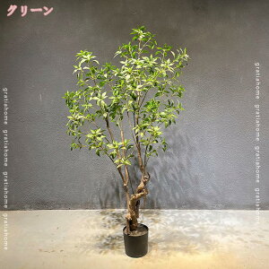 1000~OFFN[| ϗtA  CeA ͂Ȃ ItBX lHϗtA  tFCNO[ A Vzj rO JXj 蕨 X lHϗt lHA sv V