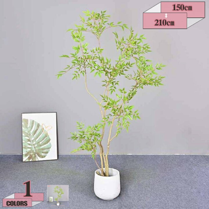 楽天市場】1000円OFFクーポン 人工観葉植物 ナンテン フェイクグリーン 