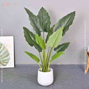 tFCNO[ lHϗtA t   CeA G b炸 sv  ItBX z[ ze fR[V Mtg  Vzj ̓ ̓ v