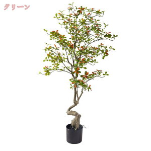 ^ tFCNO[ { CeAO[  p rO sv _ԂɍœK A  lHϗtA  ze [ j JƏj 