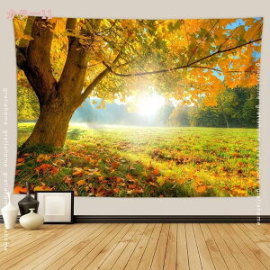 300~OFFN[| ^yXg[ 唻 i H̐X̎Ri F ^yXg[ CeA @\Ǌ| t@ubNpi _ȃA[g ͗lւ  J[e H̎R