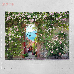 300~OFFN[| ^yXg[ xmR i i iF  G X R a ꂢ ₩   |X^[ 傫 CX^f ObY e[N wi [g[N z  ډB t