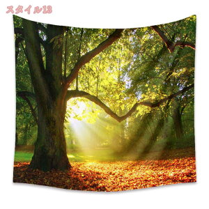 500~OFFN[| CeA ^yXg[   t[ A z [ [Ă    |X^[ e[N wi 傫  z ډB t@ubN|X^[   Ԏd؂ 