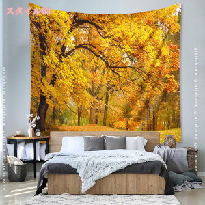 300~OFFN[| CeA ^yXg[   t[ A z [ [Ă    |X^[ e[N wi 傫  z ډB t@ubN|X^[   Ԏd؂ 