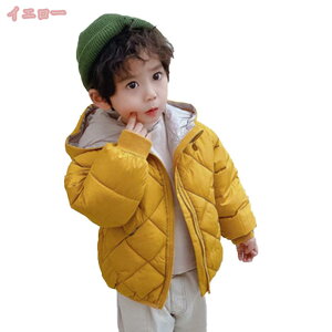 500~OFFN[| _ER[g ȃWPbg j̎q ̎q ~ AE^[ 㒅 t[h LbY xr[ WbvAbv q y h n O 킢 g ǂ R[g H G