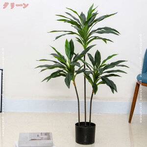 777~OFFN[|  CeA lHϗtA ^ tFCNc[ tFCNO[ hZi rO p[e[V i` JXj A ^   JCC JXj