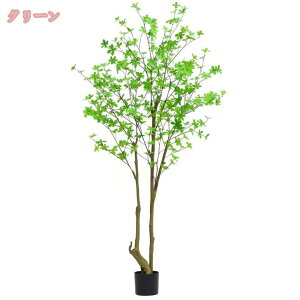 lH ϗtA tFCNO[ n ^  Vzj JXj CeA O tFCNA sv ͂Ȃ ~͐A Vzj ̓ ̓ v[g Mtg Ղ 