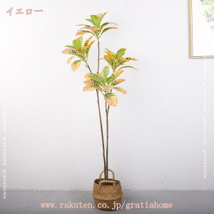 lH tFCNO[ A sv ͂Ȃ QȂ lHϗtA ϗtA CeA ItBX Vv  h ϋv  ̂Ȃ K^̖ 