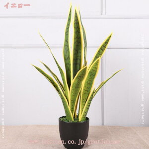760~OFFN[| lH tFCNO[ TXxA sv ͂Ȃ QȂ lHϗtA ϗtA CeA ItBX Vv  h ϋv  ̂Ȃ