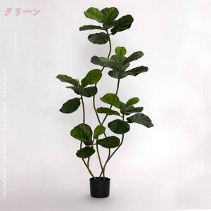 tFCNO[ K̖ ϗA lHϗt ϗtA tFCN  Vv ItBX  CeA ^ Ex[^   j v[g Mtg K̖ IV