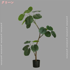 pL  tFCNO[ OlOlȂ lH ϗtA    rO  p S CeAO[  Q Mtg v[g Aؔ VvIt