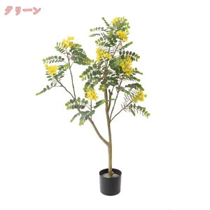 ϗt lHϗtA tFCNO[ nGV̖ CeAO[  sv  ^ K̖  z[  ItBX  GgX X A 傫 