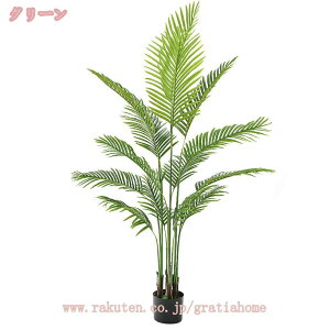 tFCNO[ AJV sv A ϗtA tFCN lH lHϗtA  킢 ^ 傫  CeA JtF Lb` j a rO Mtgv