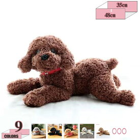 500円OFFクーポン プードル ぬいぐるみ トイプードル 犬 プレゼント 女の子 男の子 プードルぬいぐるみ ぬいぐるみトイプードル 犬ぬいぐるみ ギフト 女の子 クリスマスプレゼント 3歳 4歳 5歳 45cm 6歳 gratiahome