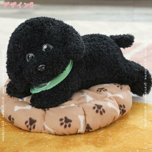 500~OFFN[| ʂ  ̂ʂ 킢 j̎q ̎q  gCv[h a  j  v[g NX}X j ̂ʂ 킢 gCv